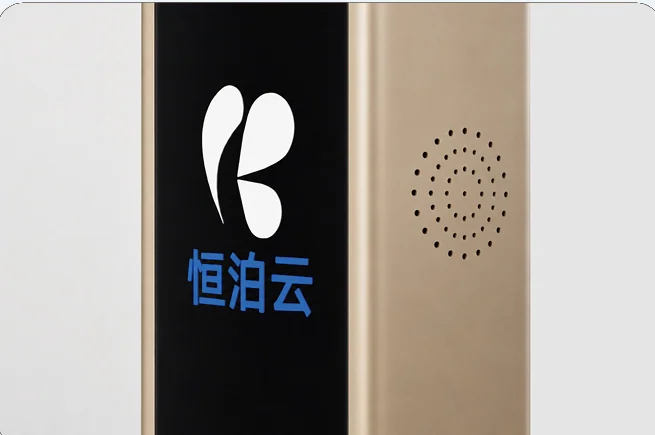 HB-C01: Voice announcements